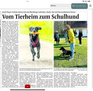 Tierschutzverein Rheine und Umgebung e.V.