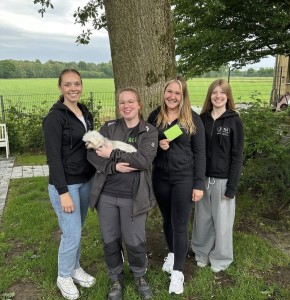 Tierschutzverein Rheine und Umgebung e.V.