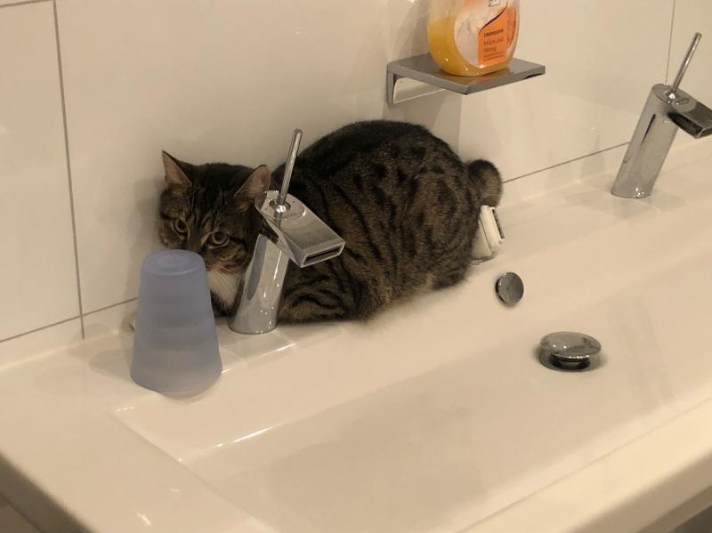 Happy End Geschichten image0