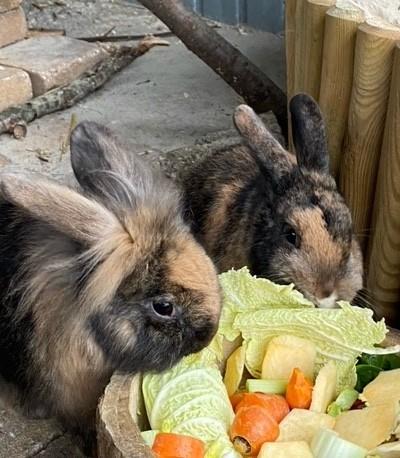 Happy End Geschichten image5