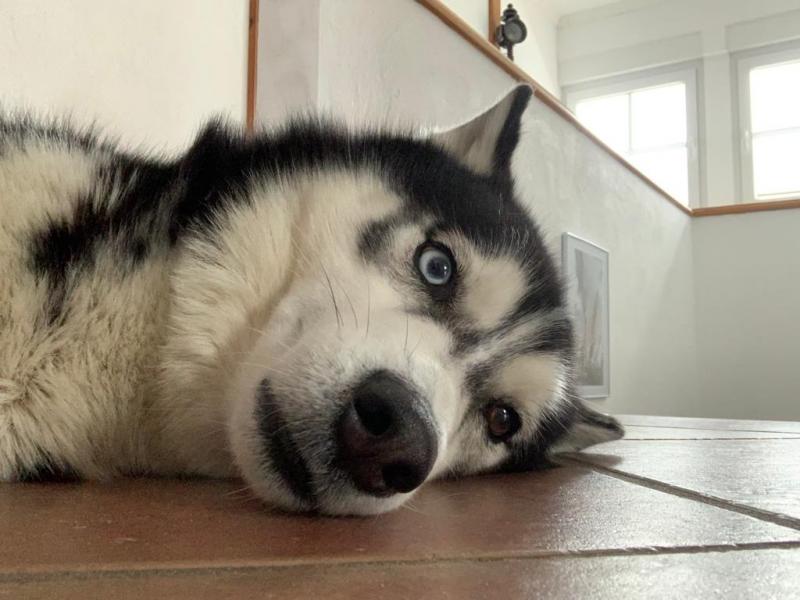 Happy End Geschichten image0