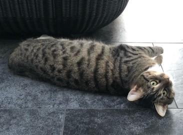 Happy End Geschichten image2