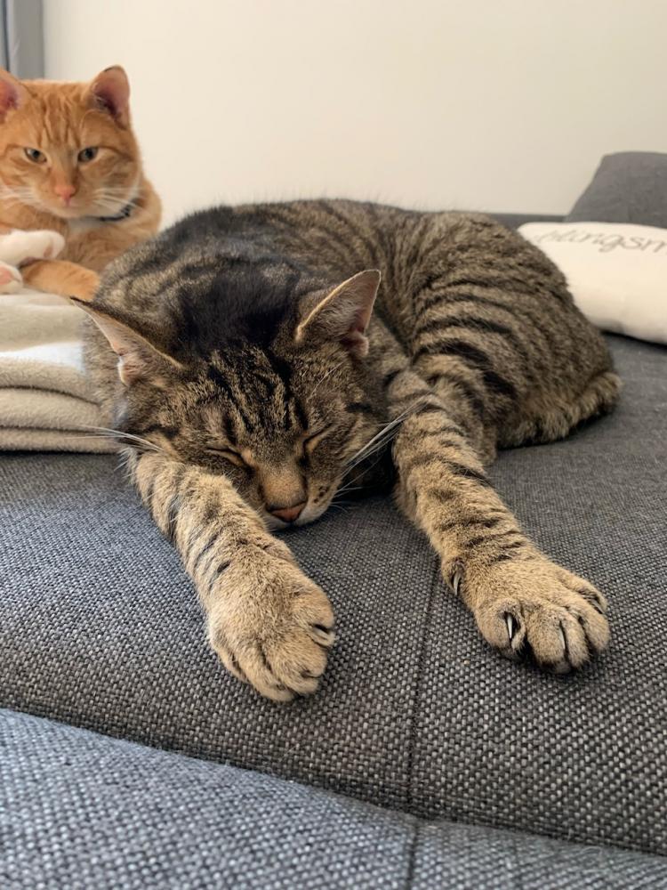 Happy End Geschichten image3