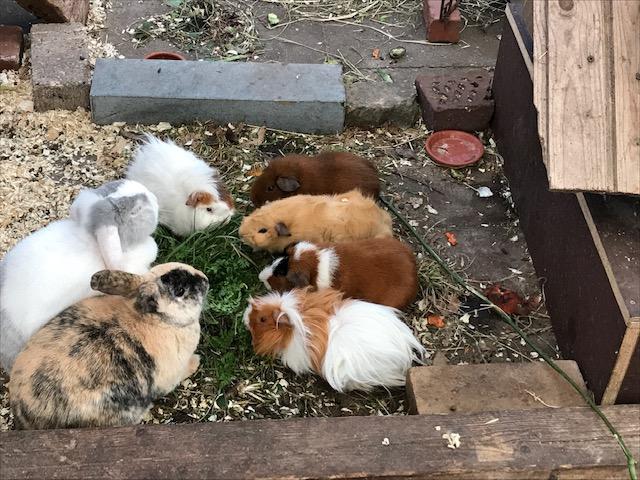 Happy End Geschichten image0