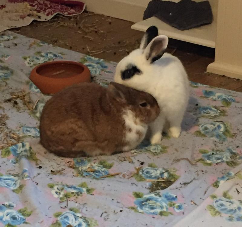 Happy End Geschichten image1