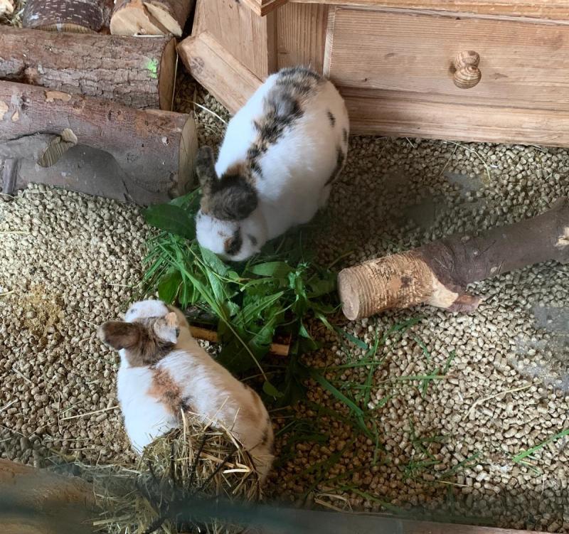 Happy End Geschichten image0