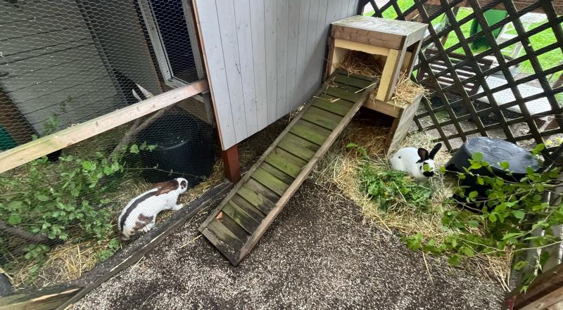 Happy End Geschichten image2