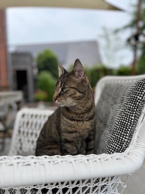 Happy End Geschichten image2