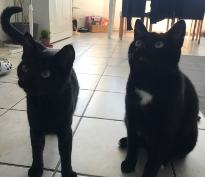 Happy End Geschichten IMG_7402_(2)