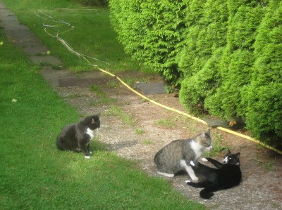 Happy End Geschichten Grabow5