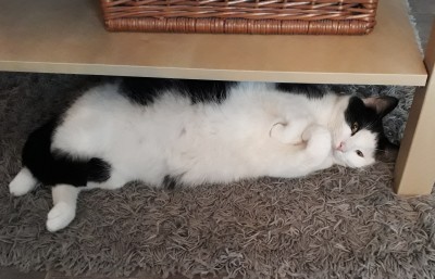 Happy End Geschichten hee3