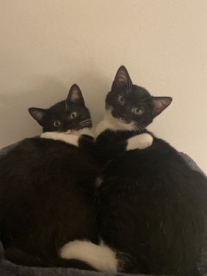 Happy End Geschichten HE1