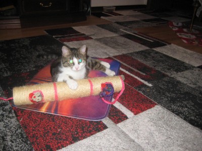 Happy End Geschichten IMG_0343