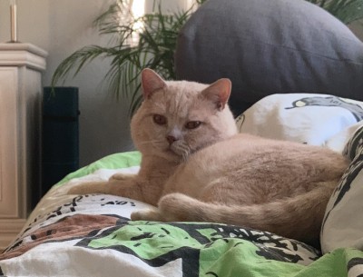 Happy End Geschichten 3BD8EDA1-8144-4566-AD86-1089BB7B7C16