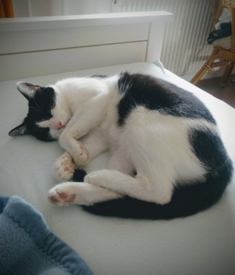 Happy End Geschichten IMG_20200930_134335