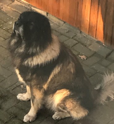 Happy End Geschichten 312AF63D-C244-4A62-B031-0E7441354DFC