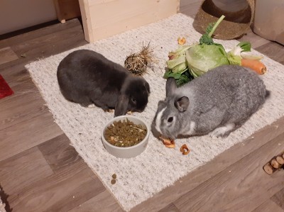 Happy End Geschichten 20201206_124734