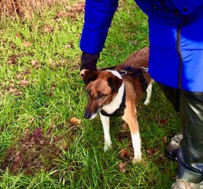 Happy End Geschichten 41C6FC1E-1531-46D0-9A22-08891102B92C