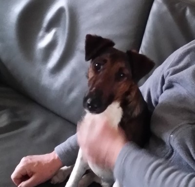 Happy End Geschichten 20201213_104304