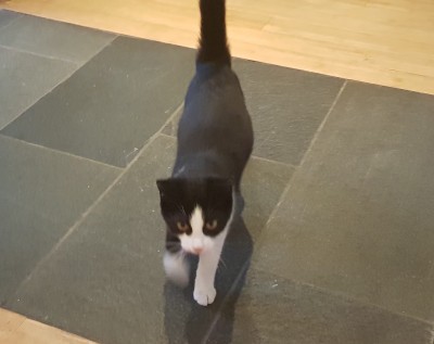 Happy End Geschichten Katara