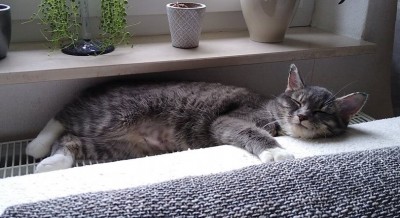 Happy End Geschichten 141560801_875350529966817_5973530777960415799_n