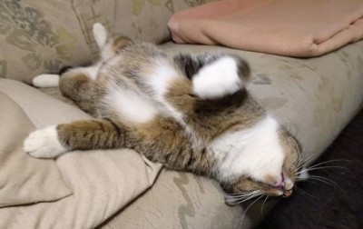 Happy End Geschichten Emm