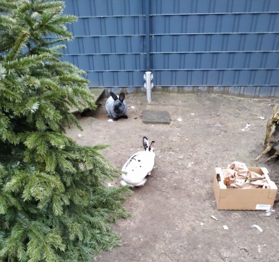 Happy End Geschichten IMG_20210105_141836