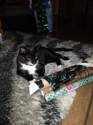 Happy End Geschichten IMG_20201222_011633