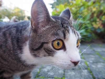 Happy End Geschichten 4EE85245-5A99-4417-A510-3D455A6D1304