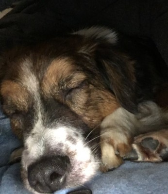 Happy End Geschichten IMG_3268