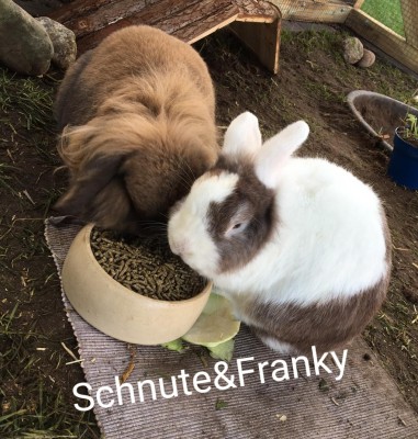 Happy End Geschichten 20201217_193933