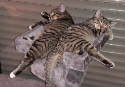 Happy End Geschichten signal-2020-12-14-200724