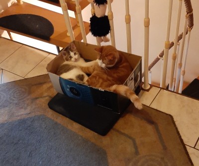 Happy End Geschichten 20210130_132817