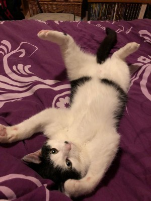 Happy End Geschichten 84e7b5ae-8915-46be-942b-475c8209a787