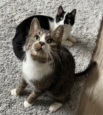 Happy End Geschichten bb1