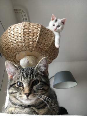 Happy End Geschichten d