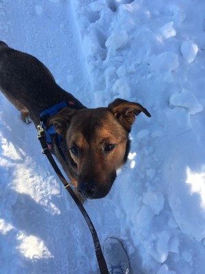 Happy End Geschichten Image1