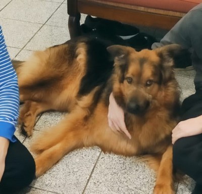 Happy End Geschichten IMG-20210202-WA0002