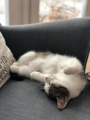 Happy End Geschichten 300a6df7-4b18-4c52-b6df-b112beaf4db3