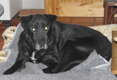 Happy End Geschichten P1080075