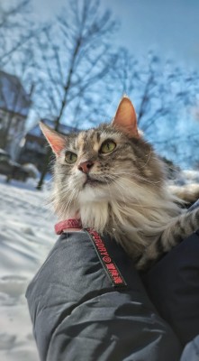 Happy End Geschichten IMG-20210216-WA0019