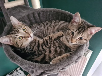 Happy End Geschichten 20210218_122858