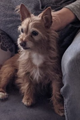 Happy End Geschichten 20210227_153157