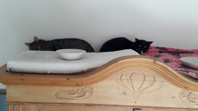 Happy End Geschichten Mira_und_Merle