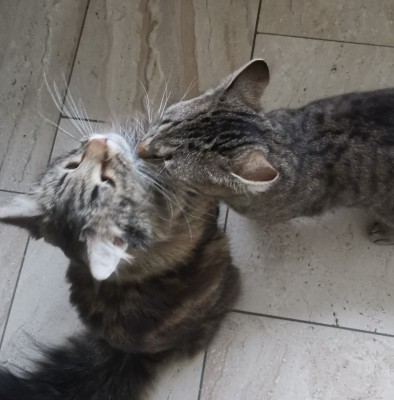 Happy End Geschichten IMG_20210308_172335