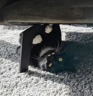 Happy End Geschichten IMG_20210311_104905