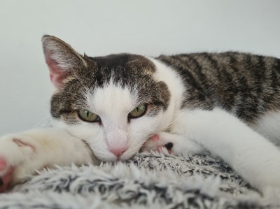 Happy End Geschichten 20210112_135535