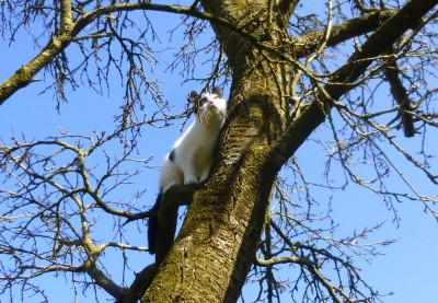 Happy End Geschichten P1050162