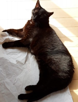 Happy End Geschichten 4ca41dd8-b8ec-4bdf-a5f3-4927a210e29a