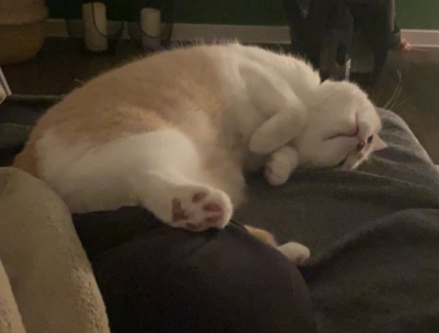 Happy End Geschichten IMG_5682